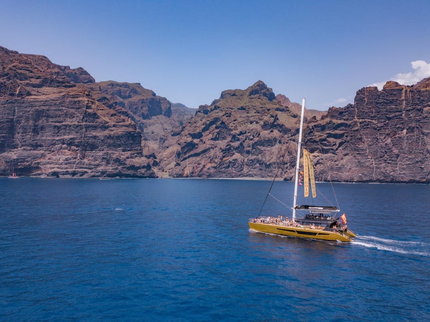 Costa Adeje: Masca and Los Gigantes Whale Watching Cruise - Key points at a glance