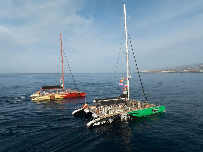 Costa Adeje: Masca and Los Gigantes Whale Watching Cruise - Why this Tenerife cruise is more than a quick whale trip