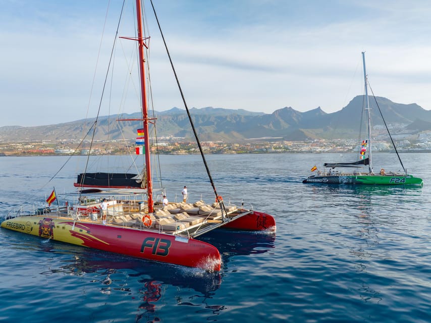 Costa Adeje: Masca and Los Gigantes Whale Watching Cruise - Watching pilot whales and dolphins in open water