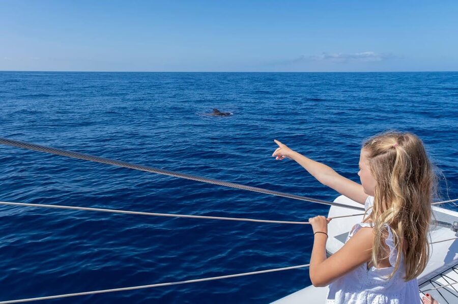 Costa Adeje: Masca and Los Gigantes Whale Watching Cruise - What the $71 price includes