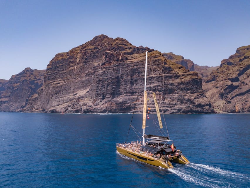 Costa Adeje: Masca and Los Gigantes Whale Watching Cruise - Practical details before you reserve