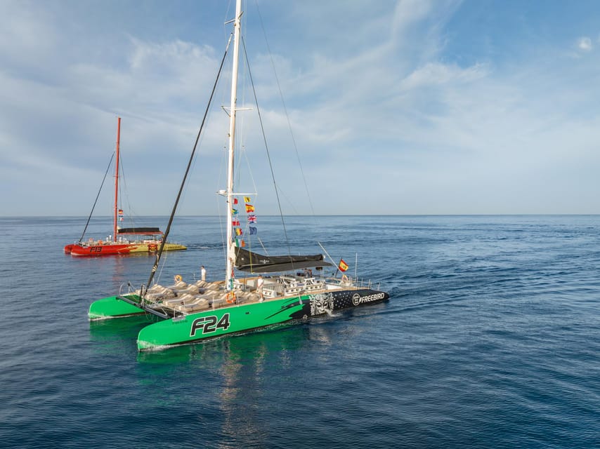 Costa Adeje: Masca and Los Gigantes Whale Watching Cruise - Setting out from Puerto Colón