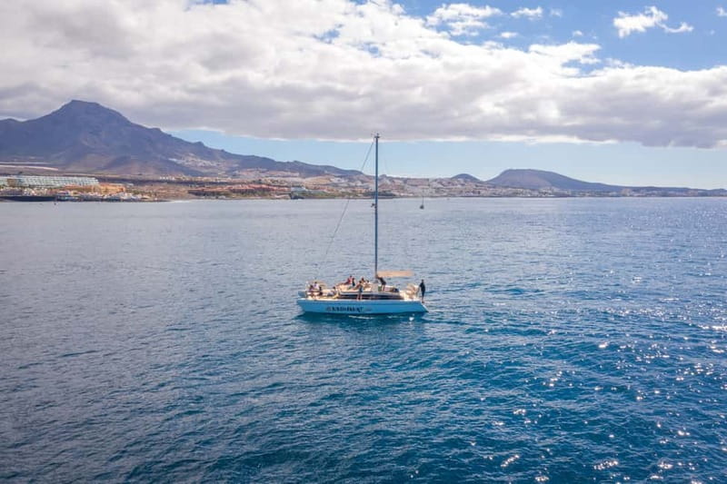 Costa Adeje: Private Catamaran Tour 22 Persons Max - Key points at a glance