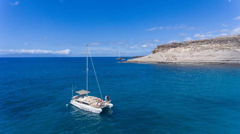 Costa Adeje: Private Catamaran Tour 22 Persons Max - Should you book this Costa Adeje catamaran?