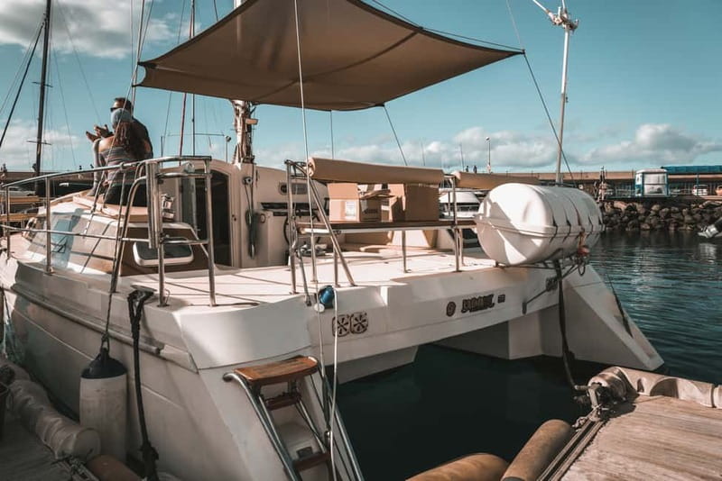 Costa Adeje: Private Catamaran Tour 22 Persons Max - What the $952 charter really means
