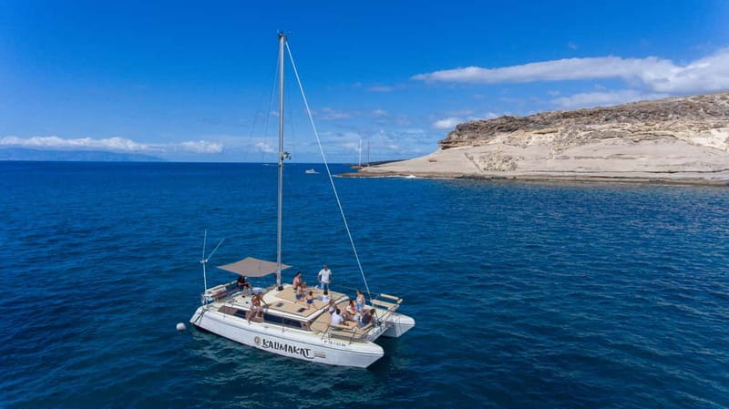 Costa Adeje: Private Catamaran Tour 22 Persons Max - Practical preparation for a comfortable three hours