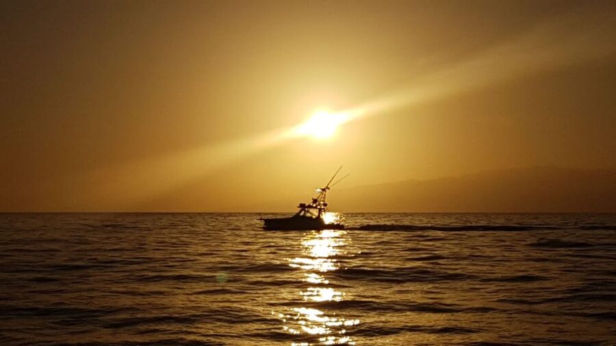 Costa Adeje: Private Yacht Sailing Tour from Puerto Colón - What the private format is really worth