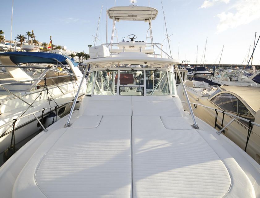 Costa Adeje: Private Yacht Sailing Tour from Puerto Colón - Who will enjoy this yacht trip most