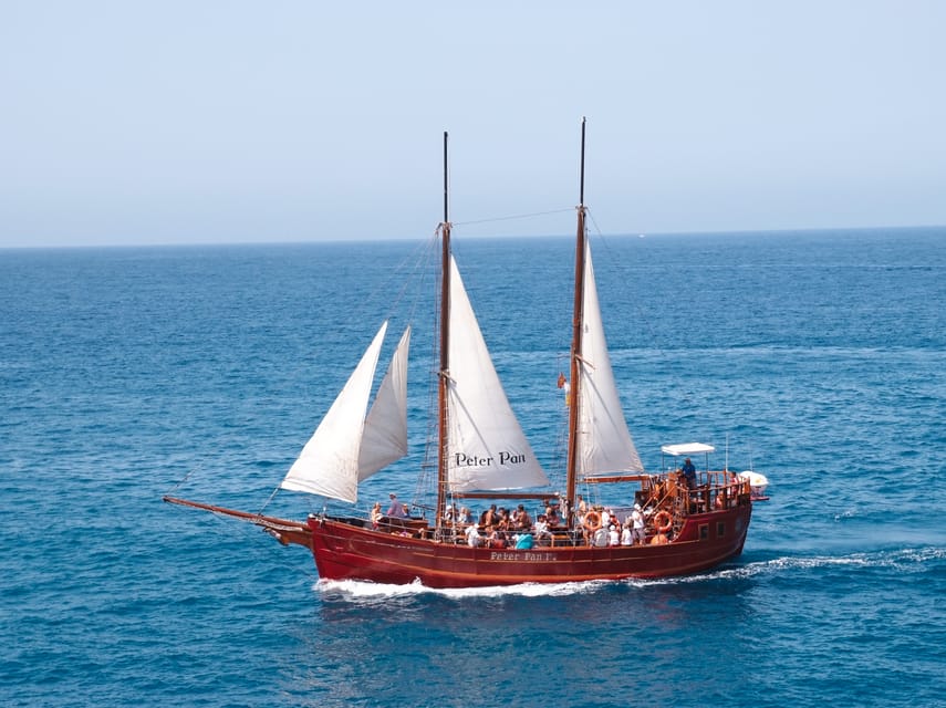 Costa Adeje: Respectful Whale-Watching Sailboat Tour & swim - Key points to know before you sail