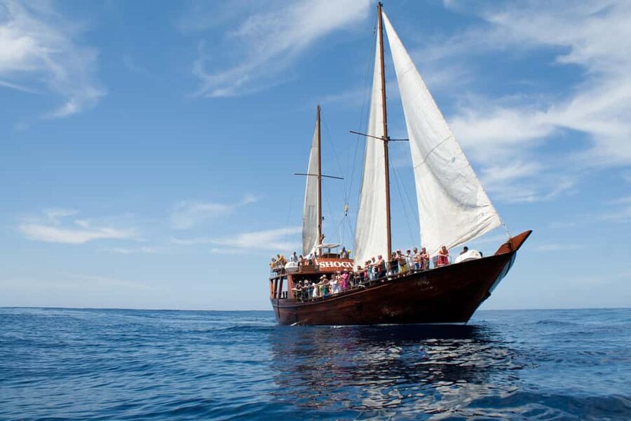 Costa Adeje: Respectful Whale-Watching Sailboat Tour & swim - FAQ
