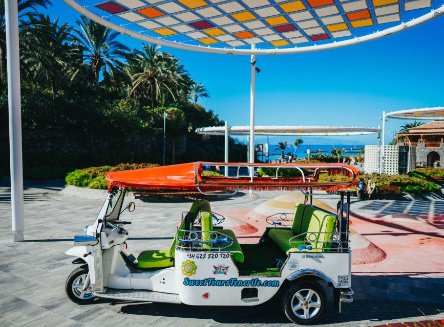 Costa Adeje: Secret Volcano Tuk Tuk Tour - Key points at a glance