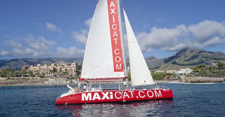 Costa Adeje: Whale and Dolphin Cruise with Food and Pickup - Key points to know before you book