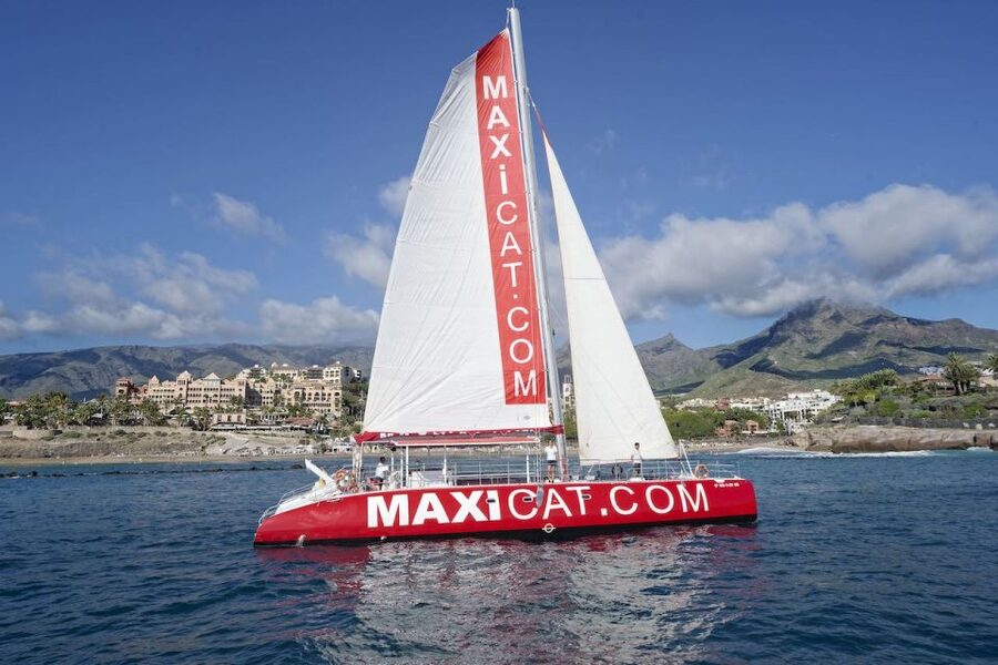 Costa Adeje: Whale and Dolphin Cruise with Food and Pickup - What the catamaran feels like at sea
