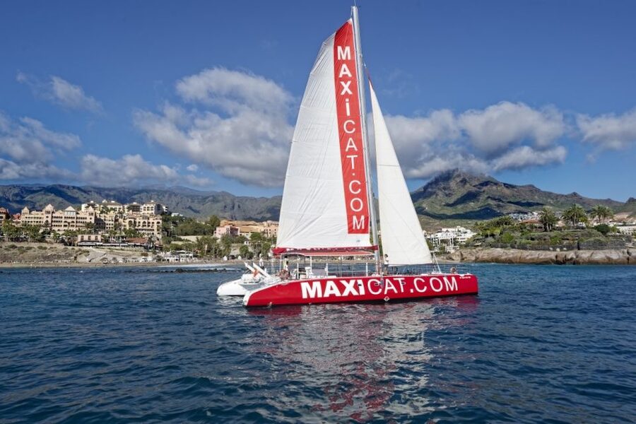 Costa Adeje: Whale and Dolphin Cruise with Food and Pickup - Who will enjoy this Costa Adeje cruise?