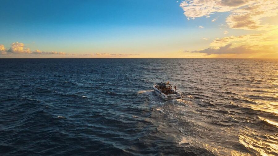 Costa Adeje: Whale and Dolphin-Watching Boat Excursion - Key points before you book