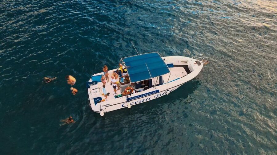 Costa Adeje: Whale and Dolphin-Watching Boat Excursion - How the crew handles the sea