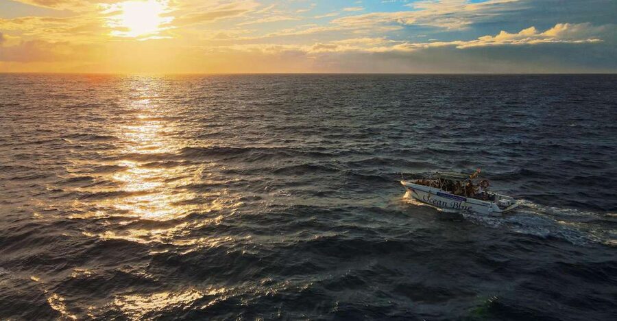 Costa Adeje: Whale and Dolphin-Watching Boat Excursion - Looking for whales and dolphins offshore