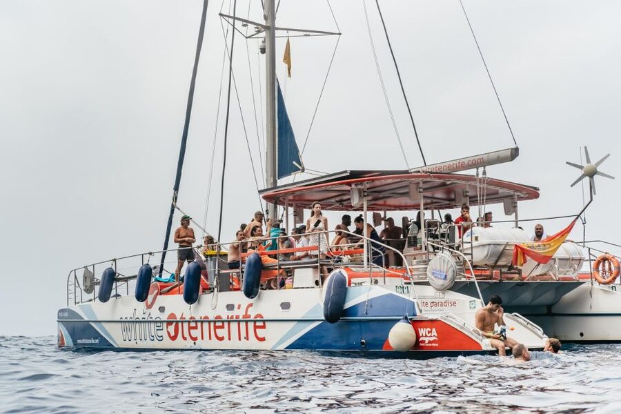 Costa Adeje: Whale & Dolphin Eco-Cruise with Snacks & Drinks - A quiet wildlife trip from Puerto Colón