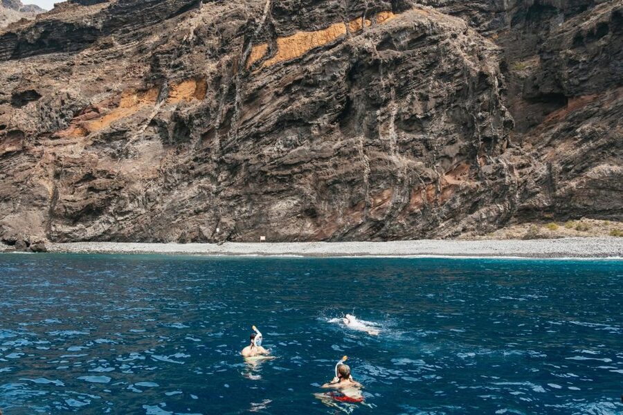 Costa Adeje: Whale & Dolphin Eco-Cruise with Snacks & Drinks - Hearing the ocean below the boat