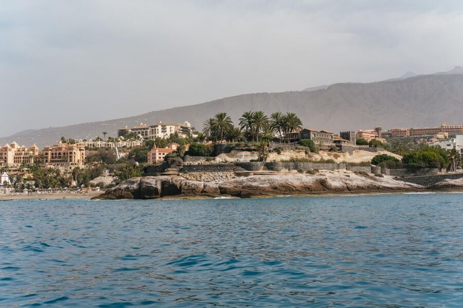 Costa Adeje: Whale & Dolphin Eco-Cruise with Snacks & Drinks - Three hours or five hours at sea?