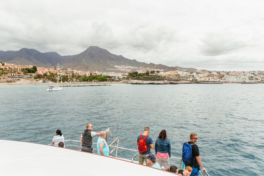 Costa Adeje: Whale & Dolphin Submarine Vision Mini Cruise - Leaving Puerto Colón on the Royal Delfin