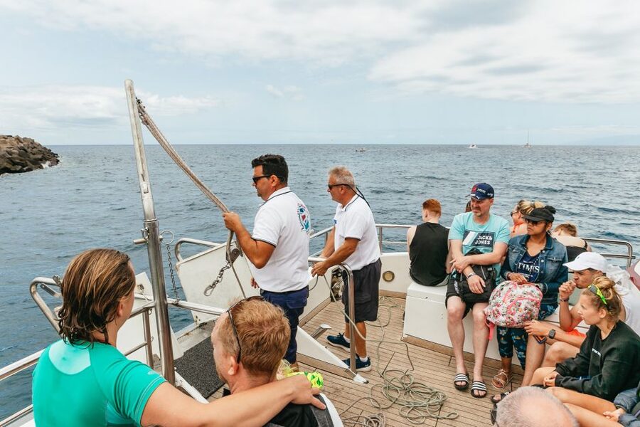 Costa Adeje: Whale & Dolphin Submarine Vision Mini Cruise - FAQ