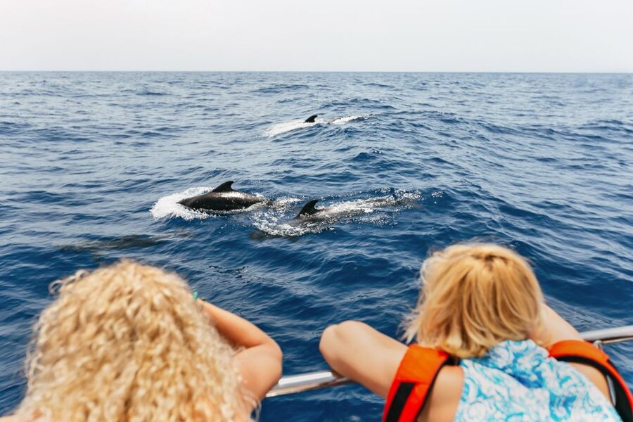 Costa Adeje: Whale Watching Catamaran Tour with Drinks - Quick points before you book