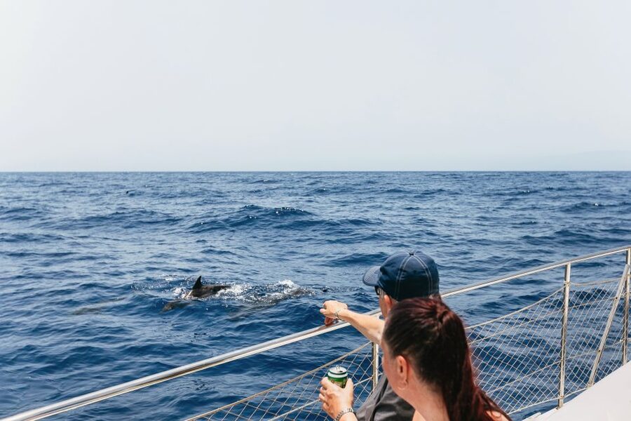 Costa Adeje: Whale Watching Catamaran Tour with Drinks - Leaving Puerto Colón for Tenerife’s whale coast