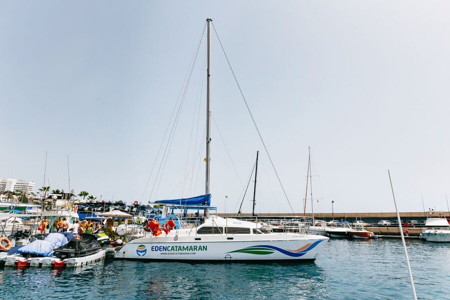Costa Adeje: Whale Watching Catamaran Tour with Drinks - Drinks, music, and the simple onboard extras