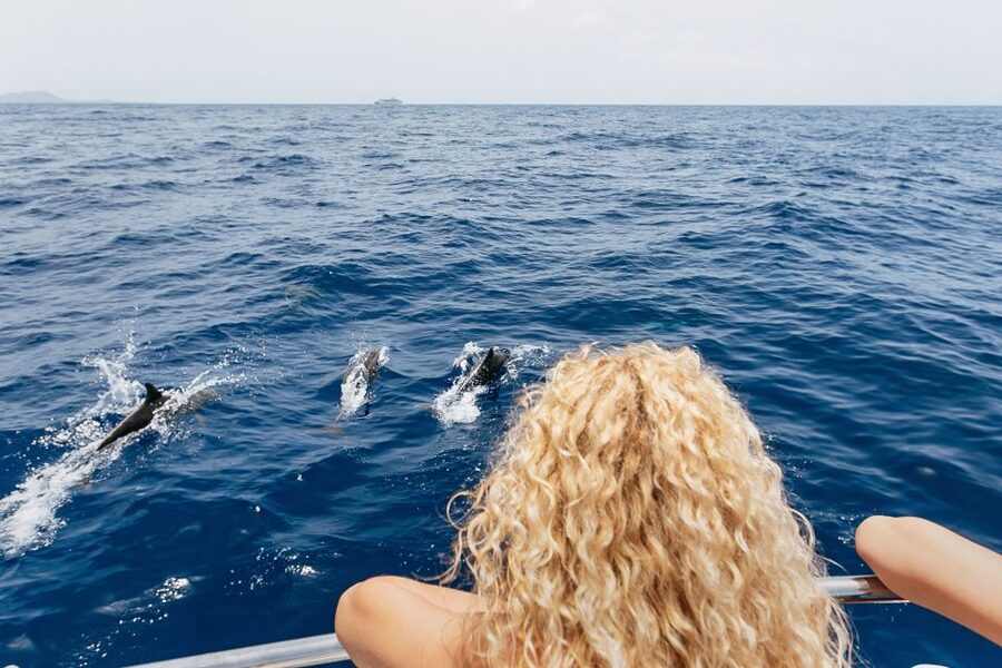 Costa Adeje: Whale Watching Catamaran Tour with Drinks - What the $41 price really buys you