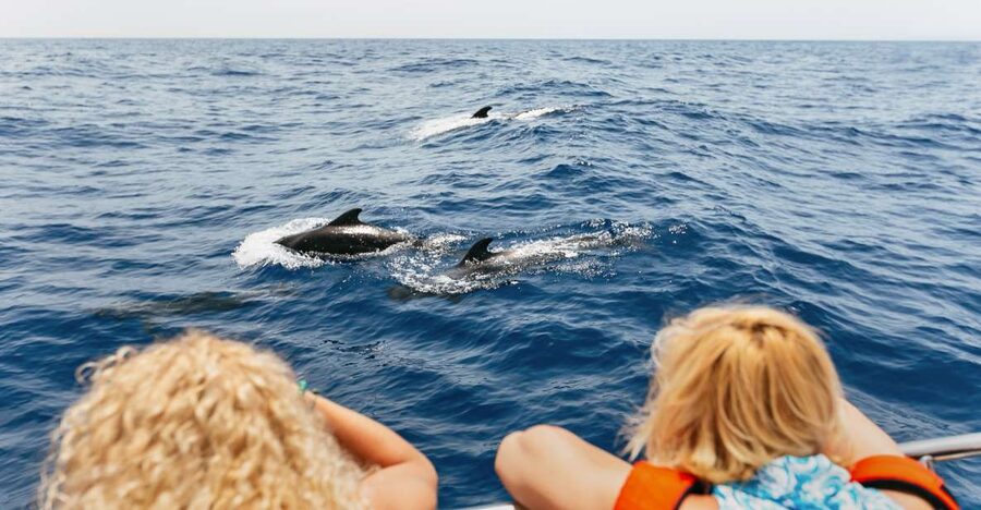 Costa Adeje: Whale Watching Catamaran Tour with Drinks - Meeting resident pilot whales near shore