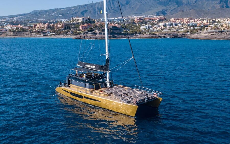 Costa Adeje: Whale Watching Cruise - Key points at a glance