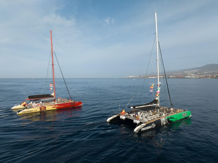 Costa Adeje: Whale Watching Cruise - The catamaran, seats, and sun loungers