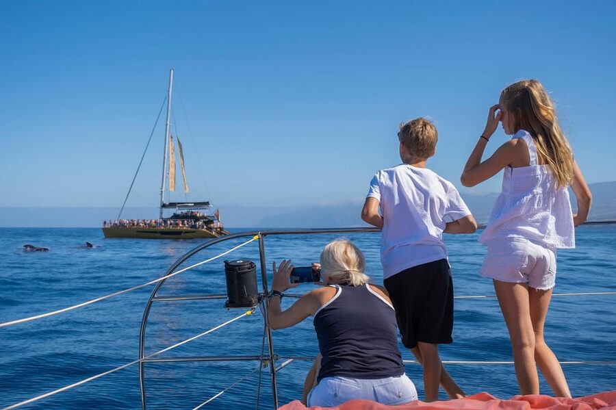 Costa Adeje: Whale Watching Cruise - Is $55 good value for three hours?