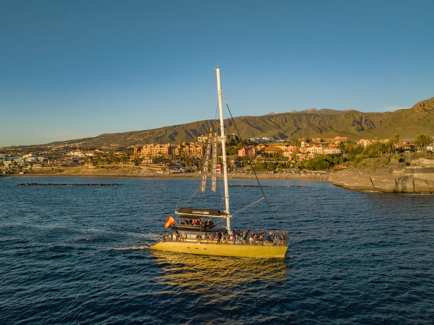 Costa Adeje: Whale Watching Cruise - How the crew shapes the outing