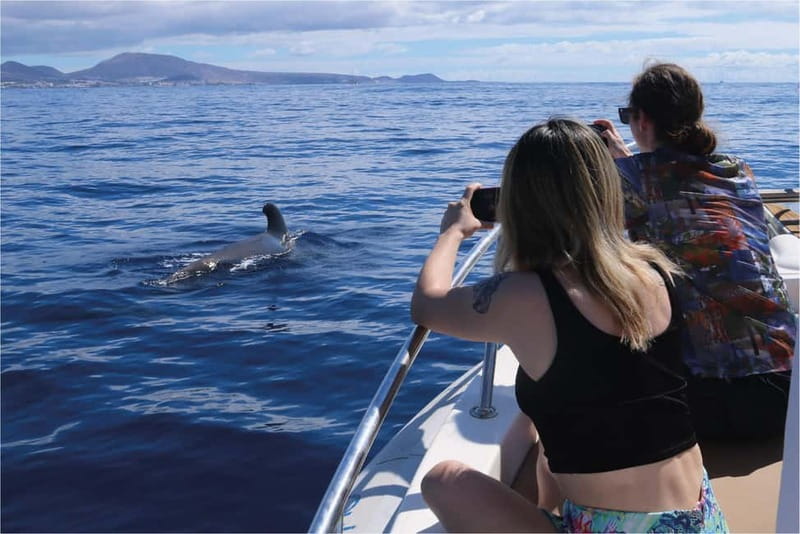 Costa Adeje: Whale Watching Eco Experience with Hydrophone. - Setting out from Costa Adeje