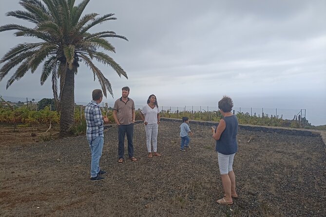 Custom Private Tenerife Full Island VIP Tour - photos included - Eating Canarian food without guessing