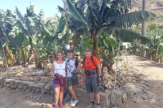 Custom Private Tenerife Full Island VIP Tour - photos included - La Laguna’s colonial streets and UNESCO setting