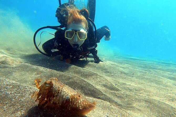 Discover beginner diving in Tenerife - Is the $90.02 price fair?