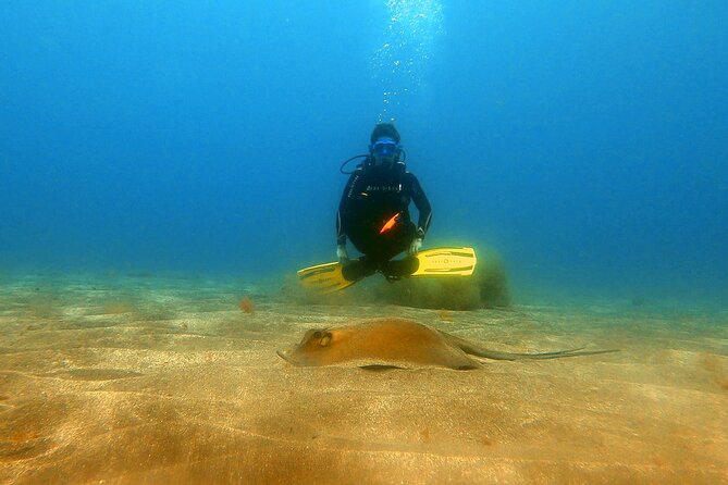 Discover beginner diving in Tenerife - What to bring and what is included
