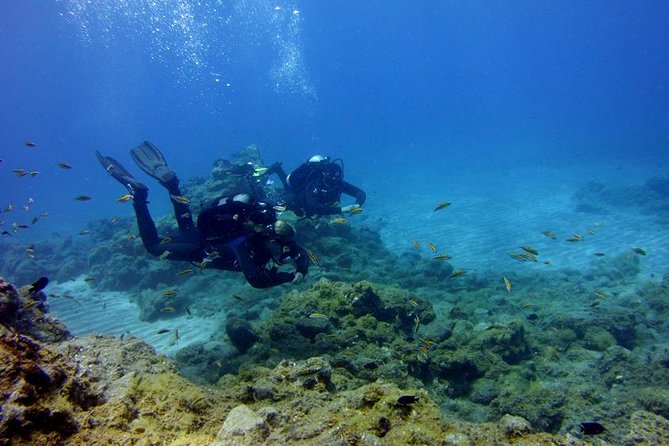 Discover Scuba Diving Adventure in Tenerife - Key points at a glance