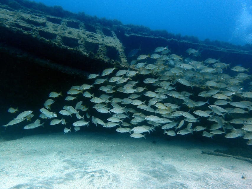 Discover Scuba Diving Experience - What the $112 Price Covers