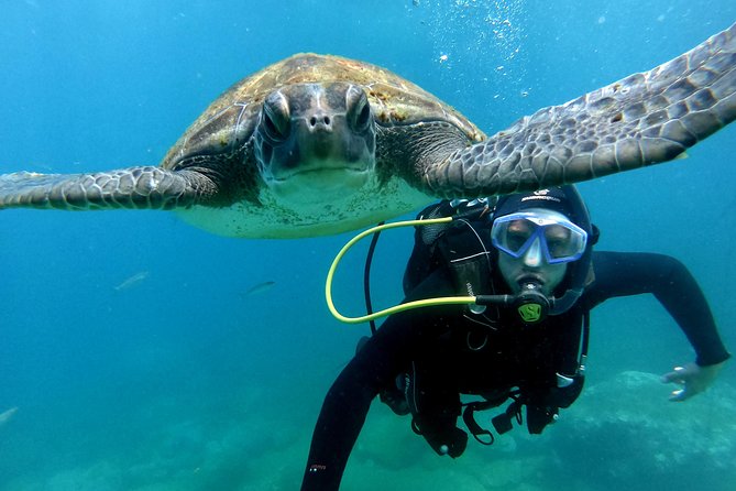 Discover Scuba Diving Experience in Turtle Habitat - Getting ready at Puerto Colón