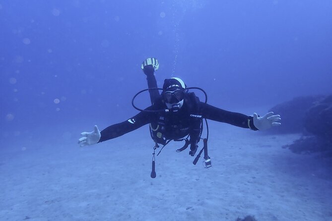 Discover Scuba Diving . First Experience underwater - Key points to know before booking