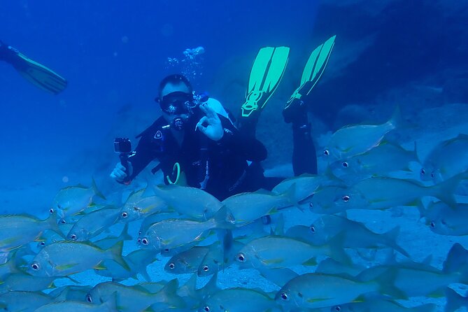 Discover Scuba Diving . First Experience underwater - Why the instructors matter so much
