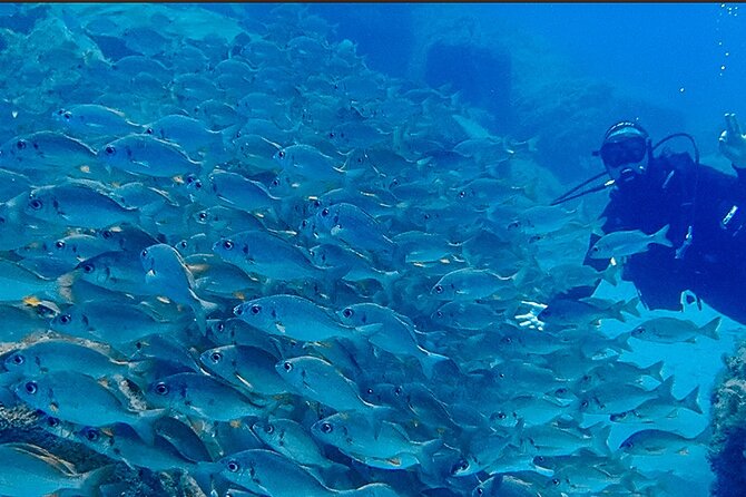 Discover Scuba Diving . First Experience underwater - Who will get the most from this session?