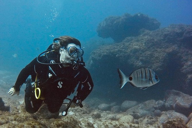 DISCOVER SCUBA DIVING - First step to your certification - Starting at LJ Diving in Las Galletas