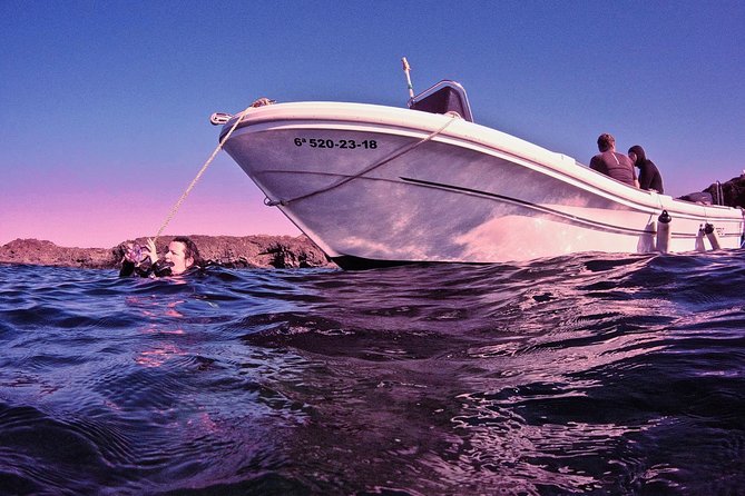 DISCOVER SCUBA DIVING - First step to your certification - Taking the boat to Tenerife’s underwater world