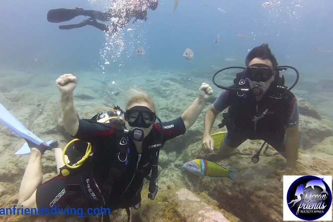 Discover Scuba Diving, free pictures included - Photos, video, and what to bring