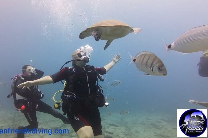 Discover Scuba Diving, free pictures included - Who will enjoy this most